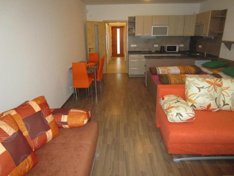 Apartman Ricky V Orlickych Horach Pustiny Ngoại thất bức ảnh