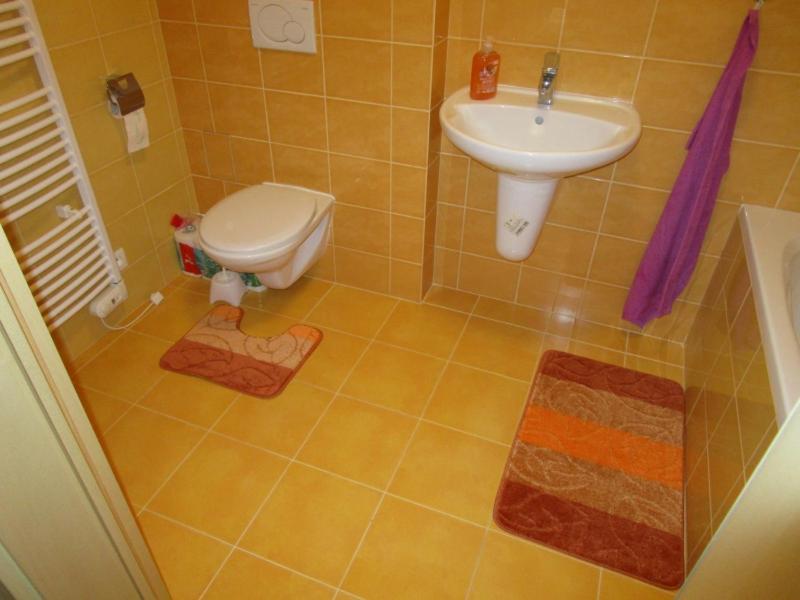 Apartman Ricky V Orlickych Horach Pustiny Ngoại thất bức ảnh
