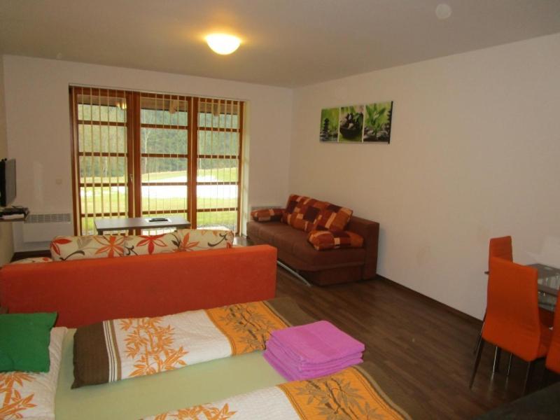 Apartman Ricky V Orlickych Horach Pustiny Ngoại thất bức ảnh