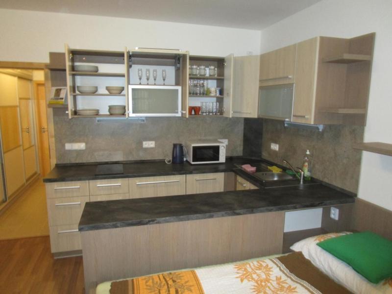 Apartman Ricky V Orlickych Horach Pustiny Ngoại thất bức ảnh
