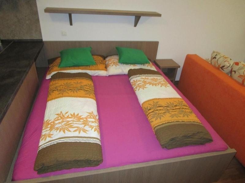 Apartman Ricky V Orlickych Horach Pustiny Ngoại thất bức ảnh