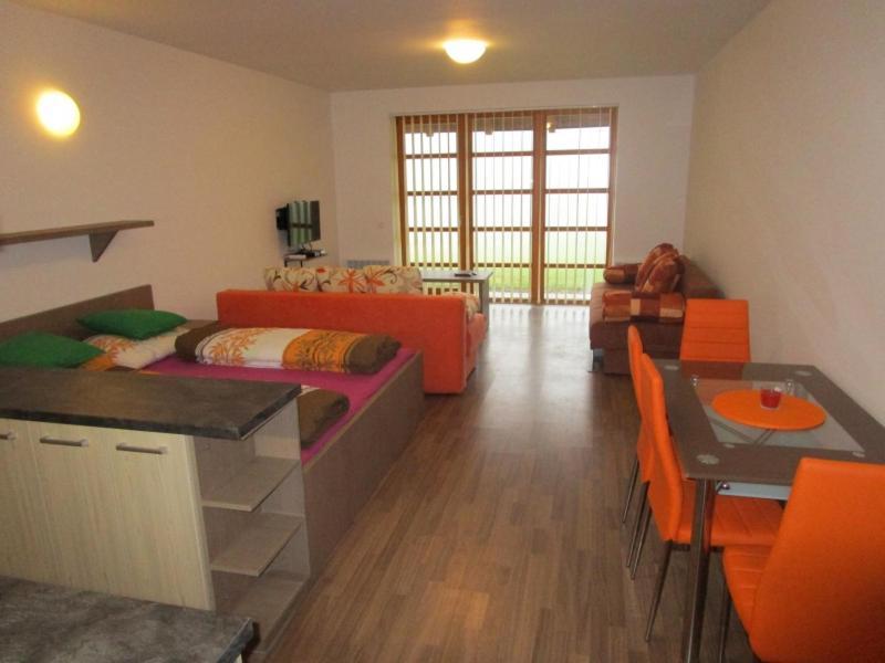 Apartman Ricky V Orlickych Horach Pustiny Ngoại thất bức ảnh