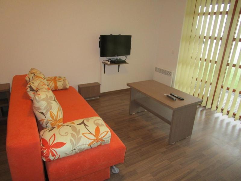 Apartman Ricky V Orlickych Horach Pustiny Ngoại thất bức ảnh